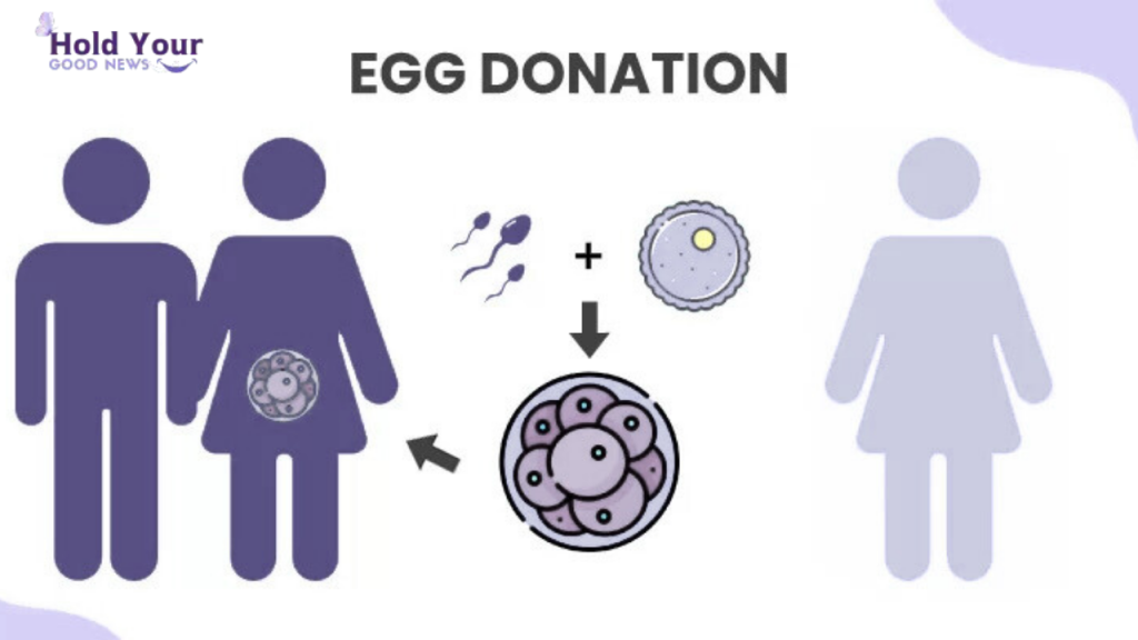 Egg Donation Cost in Georgia